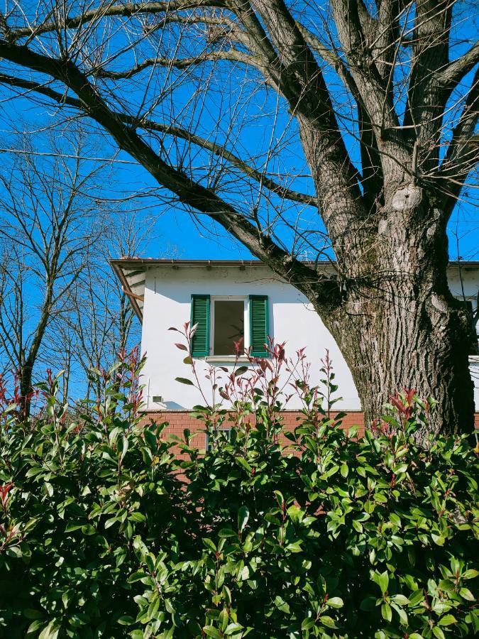 Il Tiglio B&B Dozza Εξωτερικό φωτογραφία